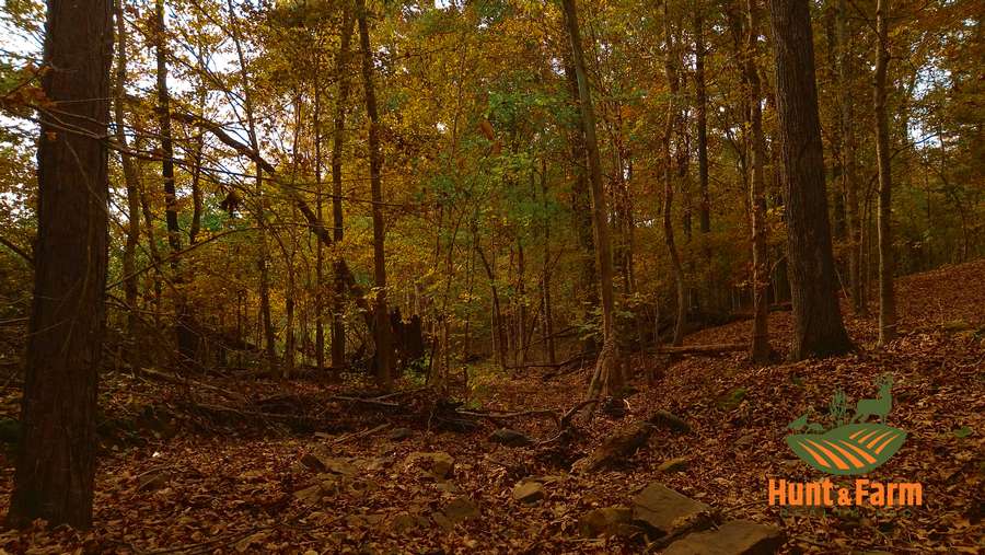 Still 2025-11-29 081237_1.9.1.jpg